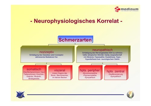 Schmerztherapie Handout