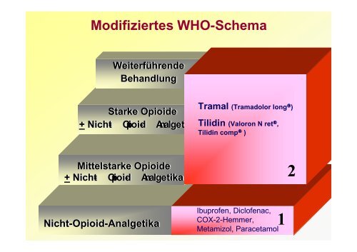 Schmerztherapie Handout