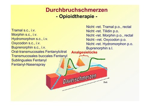 Schmerztherapie Handout