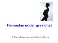 Hemostas under graviditet