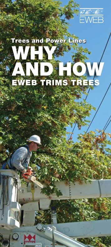 Why and how EWEB trims trees - Eugene Water & Electric Board