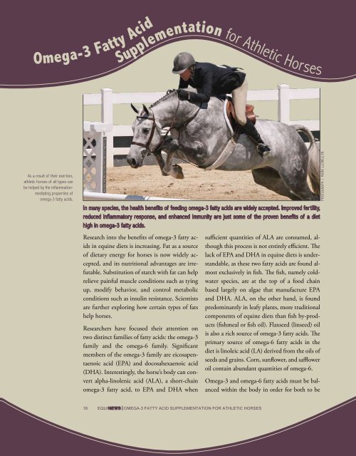 Omega3 Fatty Acid Supplementation for Athletic Horses