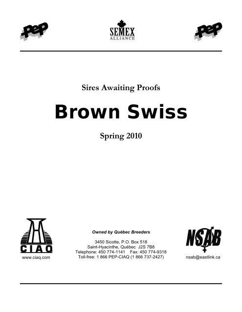 Brown Swiss - CIAQ