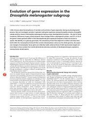 Evolution of gene expression in the Drosophila melanogaster ...
