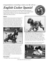 English Cocker Spaniel Club of America