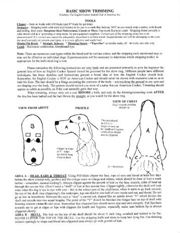 English Cocker Spaniel Grooming Chart Free Download