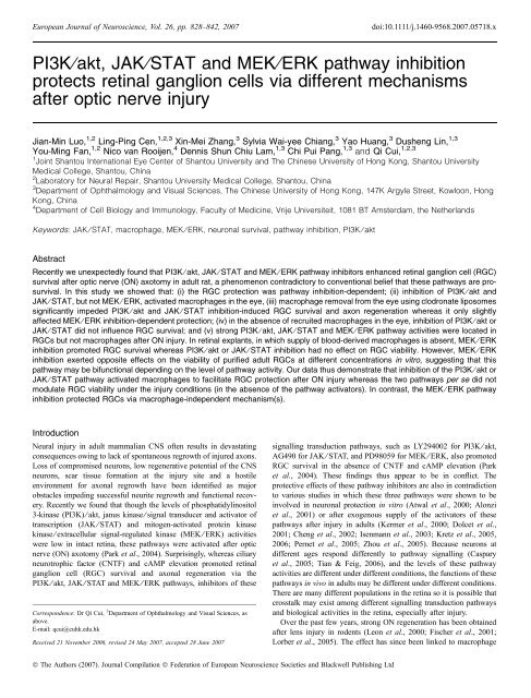 PI3K⁄akt, JAK⁄STAT and MEK⁄ERK pathway inhibition protects retinal ...