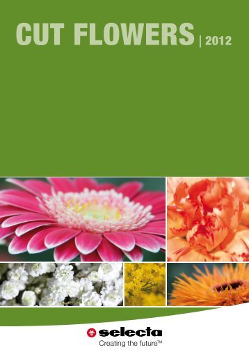 Creating the futureTM - Selecta Cut Flowers