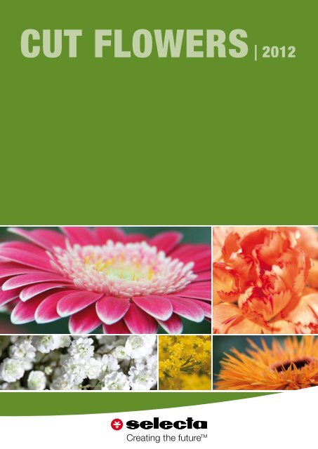 Creating the futureTM - Selecta Cut Flowers