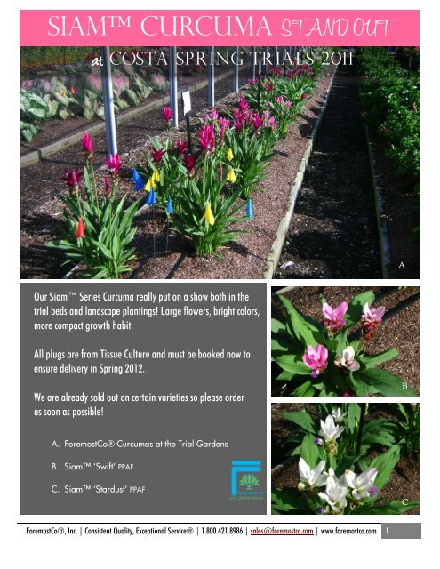 Curcuma - Favorites at Costa Trials 2011 (PDF) - ForemostCo