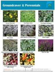 Groundcover & Perennials - Product Info (PDF) - ForemostCo