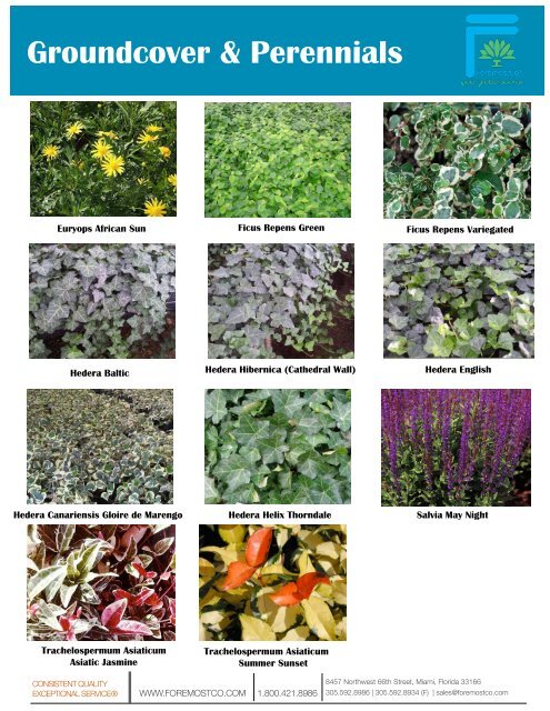 Groundcover & Perennials - Product Info (PDF) - ForemostCo