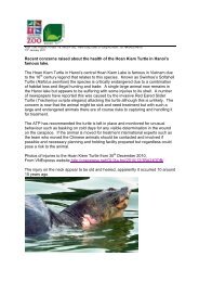 Recent concerns raised about the health of the Hoan Kiem Turtle in ...