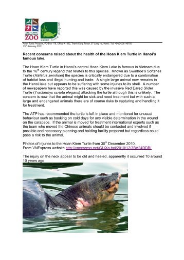 Recent concerns raised about the health of the Hoan Kiem Turtle in ...