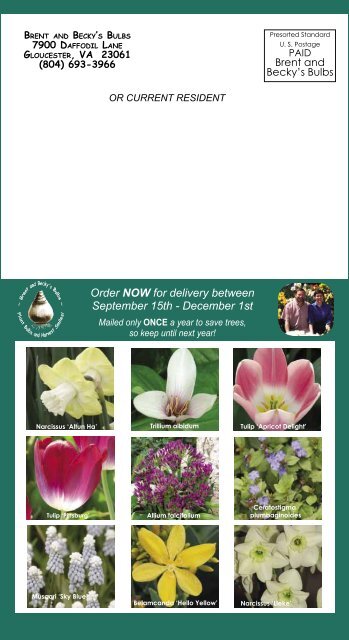 Front Cover 2010 - Brent and Becky's Bulbs!