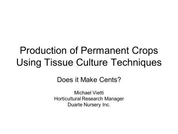 Production of Permanent Crops Using Tissue Culture Techniques