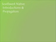 Southwest Native Introductions & Propagation