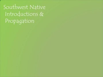 Southwest Native Introductions & Propagation