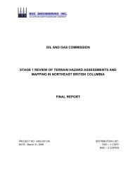 Stage 1: Review of Terrain Hazard Assessments and Mapping in ...