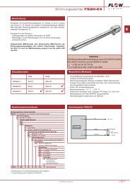 Download - FlowVision GmbH