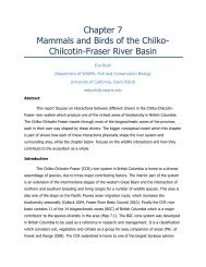 Mammals and birds of the Chilko-Chilcotin-Fraser River basin