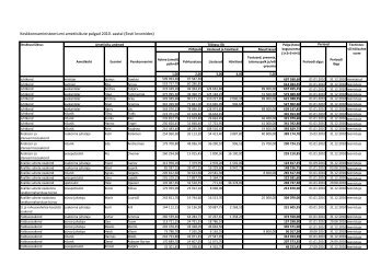 Keskkonnaministeeriumi ametiisikute palgaandmed 2010. aastal