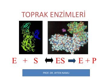 toprak enz?m akt?v?