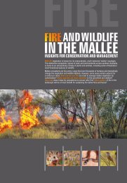 Fire and Wildlife in the Mallee - Eyre Peninsula Natural Resources ...