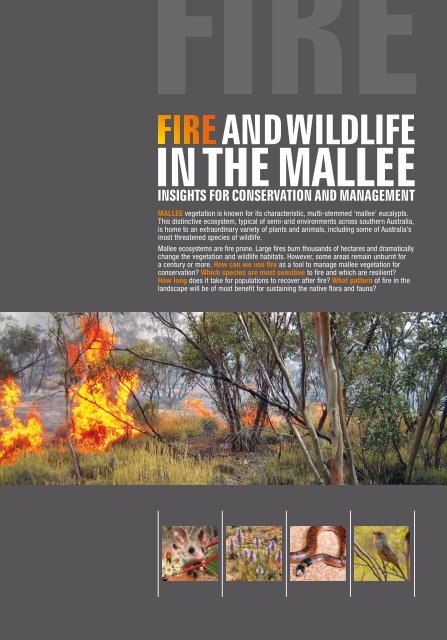 Fire and Wildlife in the Mallee - Eyre Peninsula Natural Resources ...