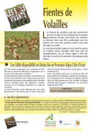 Fientes de volaille - CAS