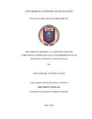 Download (5Mb) - Repositorio Institucional UANL - Universidad ...