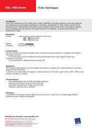 Avery® DOL 1000 Séries brillant & mat clair (PDF) - Spandex