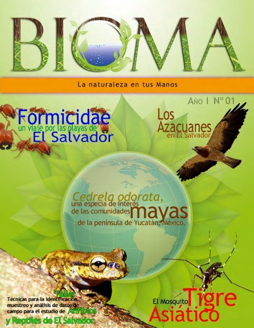 Bioma noviembre 2012-1 - Universidad de El Salvador