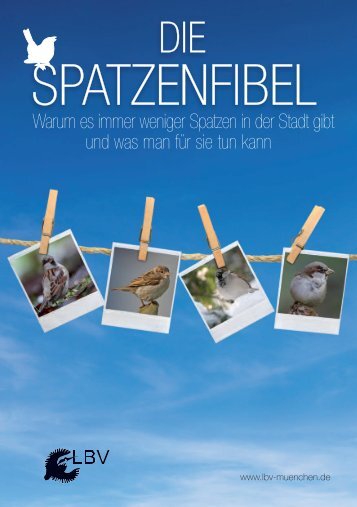 SPATZENFIBEL - LBV-München