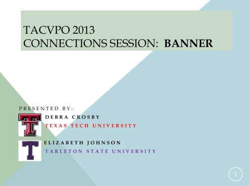 Tacvpo 2013 Connections Session Banner