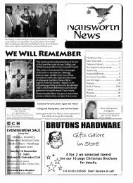 Issue 087 Nov 2008 - Nailsworth News