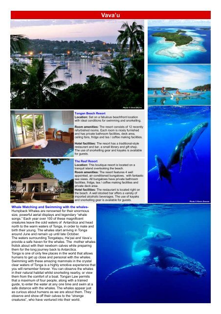 Tonga Brochure - Dive Adventures