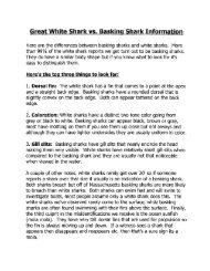 Great White Shark vs. Basking Shark Infomation - Town Of Orleans