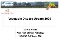 Vegetable Disease Update - Florida Ag Expo