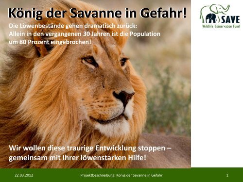 KÃ¶nig der Savanne in Gefahr! - SAVE Wildlife Conservation Fund