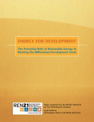 Energy for Development: the Potential Role of Renewable - Ren21