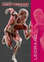 Leidraad voor leerlingen - Body Worlds