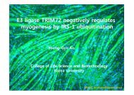 E3 ligase TRIM72 negatively regulates myogenesis by IRS-1 ...