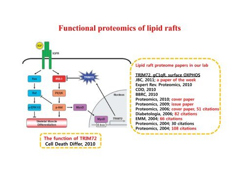 E3 ligase TRIM72 negatively regulates myogenesis by IRS-1 ...