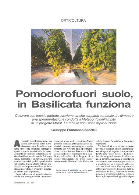 Pomodoro fuori suolo, in Basilicata funziona - Accesso alla base dati ...