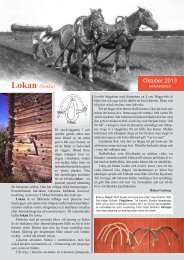 Lokan (lonka) Oktober 2013 - Malax Museiförening