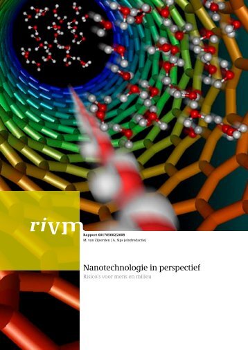 RIVM rapport 601785002 Nanotechnologie in perspectief