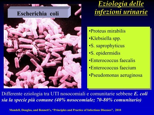 Infezioni delle vie urinarie