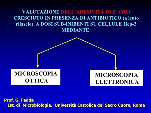 Infezioni delle vie urinarie