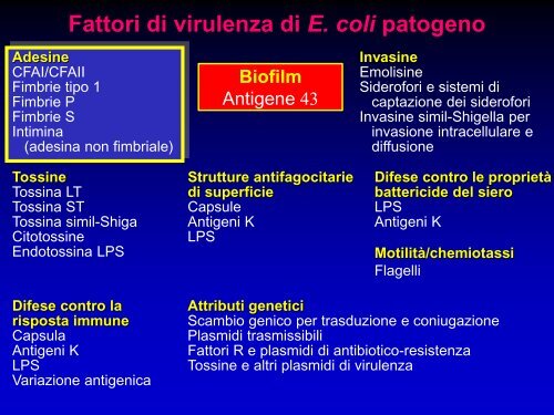 Infezioni delle vie urinarie